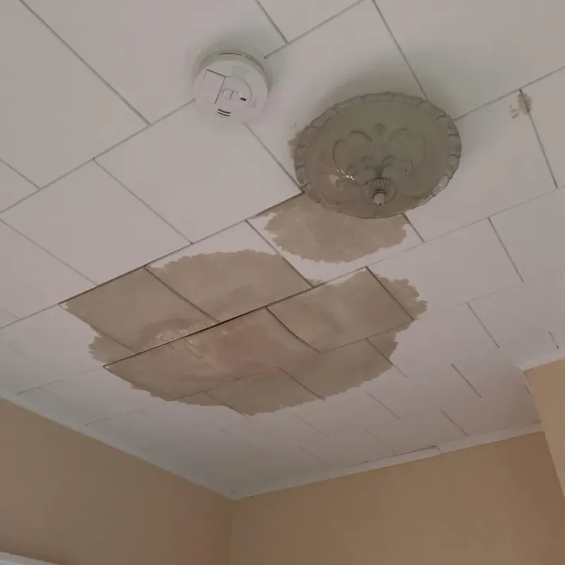 Ceiling Water Damage Repair in South Dos Palos, CA