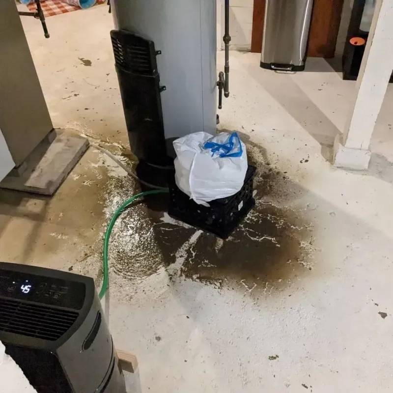 Sewage Backup Cleanup Service in South Dos Palos, CA